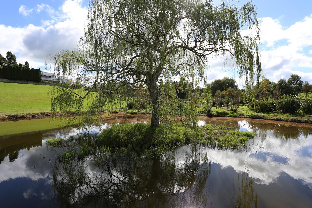 קיימברידג' Maungakawa Villa מראה חיצוני תמונה
